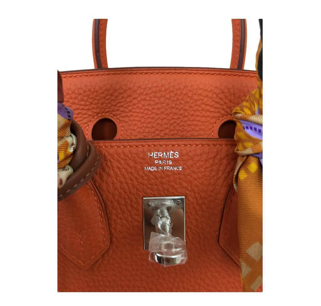 Hermes Birkin 25 Feu Clemence Leather Palladium Hardware