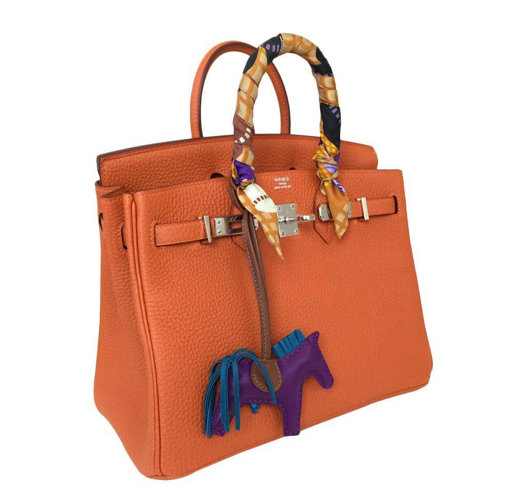 Hermes Birkin 25 Feu Clemence Leather Palladium Hardware