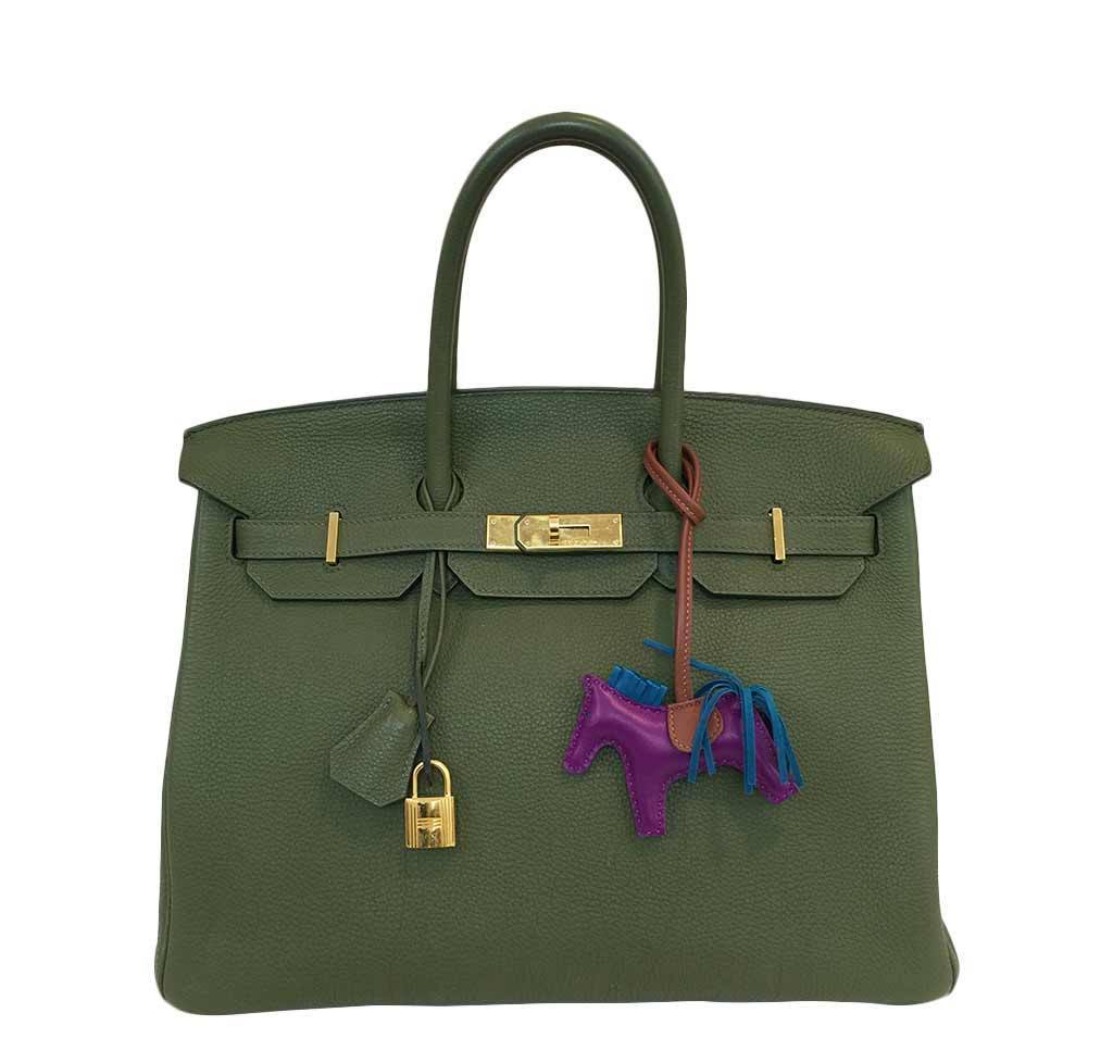 Hermes Birkin 35 Canopee Togo Leather Gold Hardware