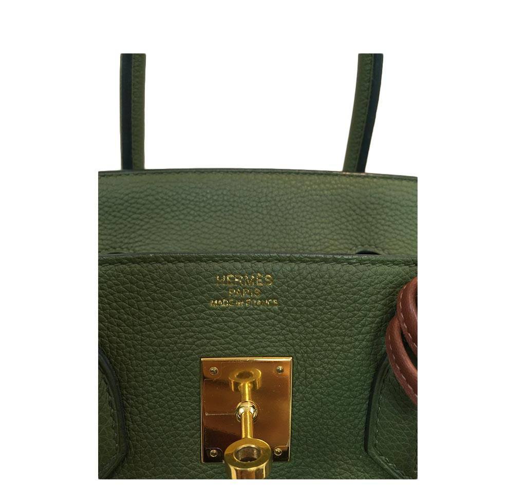 Hermes Birkin 35 Canopee Togo Leather Gold Hardware