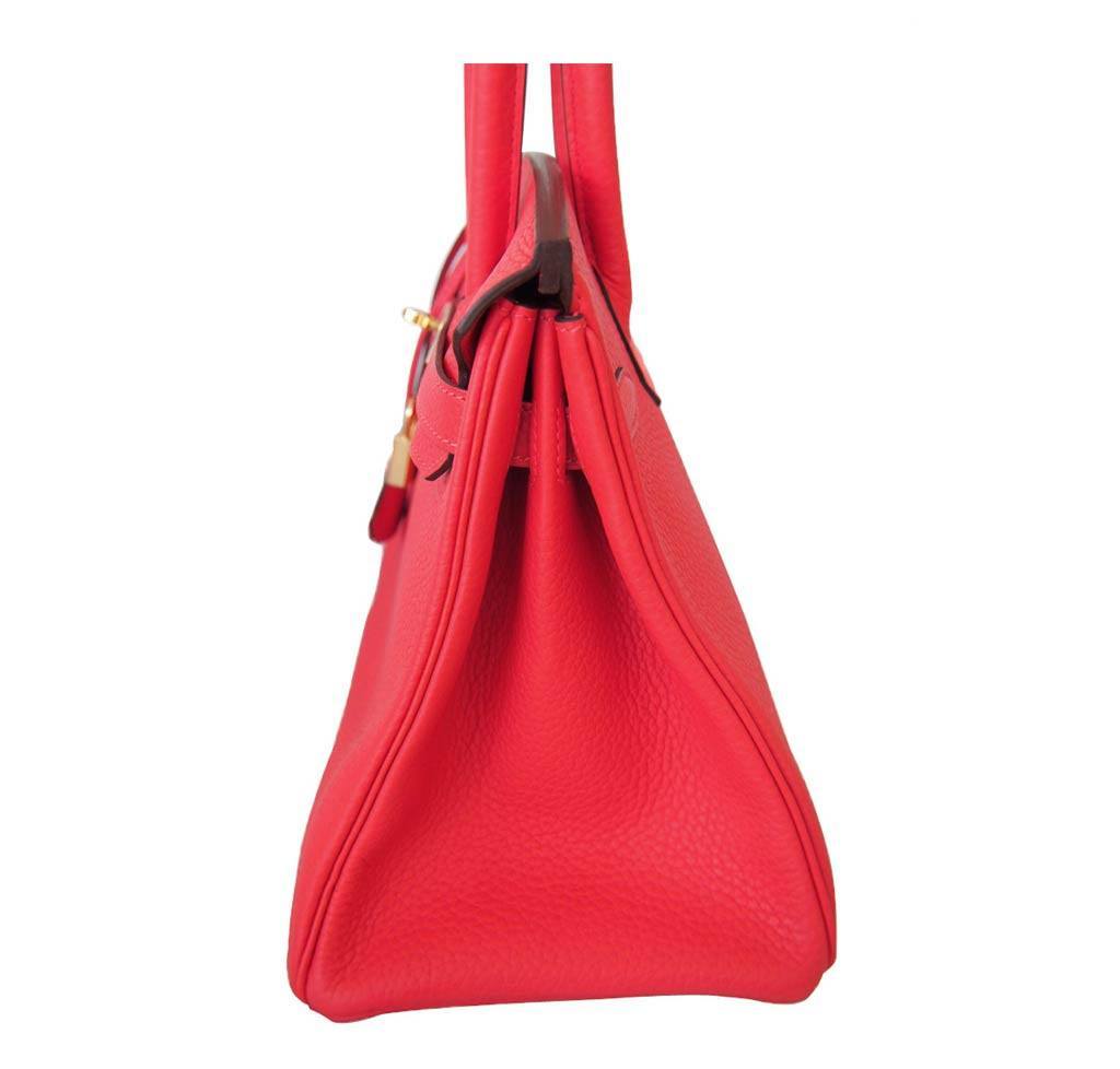Hermes Birkin 30 Rouge Pivoine Clemence Bag