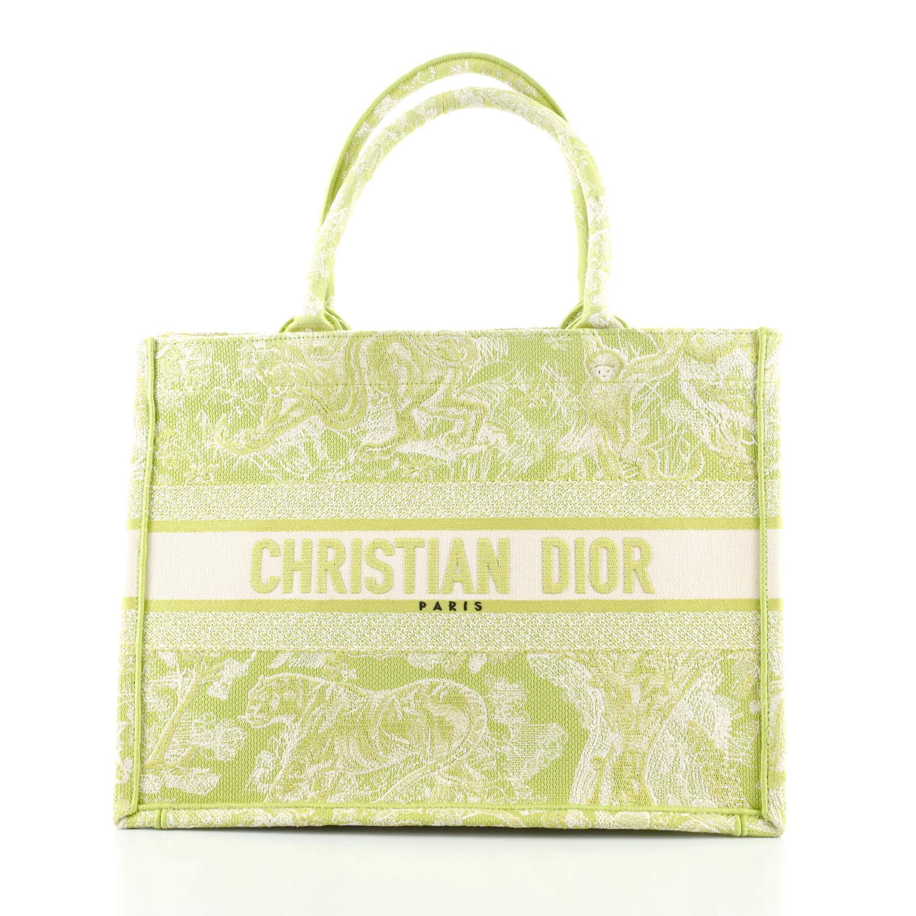 Christian Dior Book Tote Small Green Canvas
