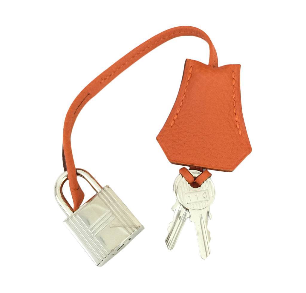 Hermes Birkin 25 Feu Clemence Leather Palladium Hardware
