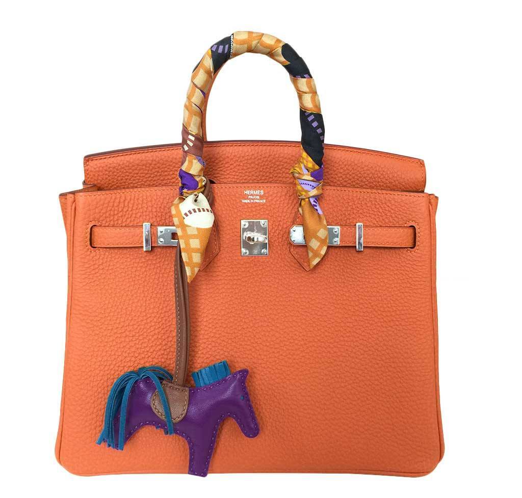 Hermes Birkin 25 Feu Clemence Leather Palladium Hardware