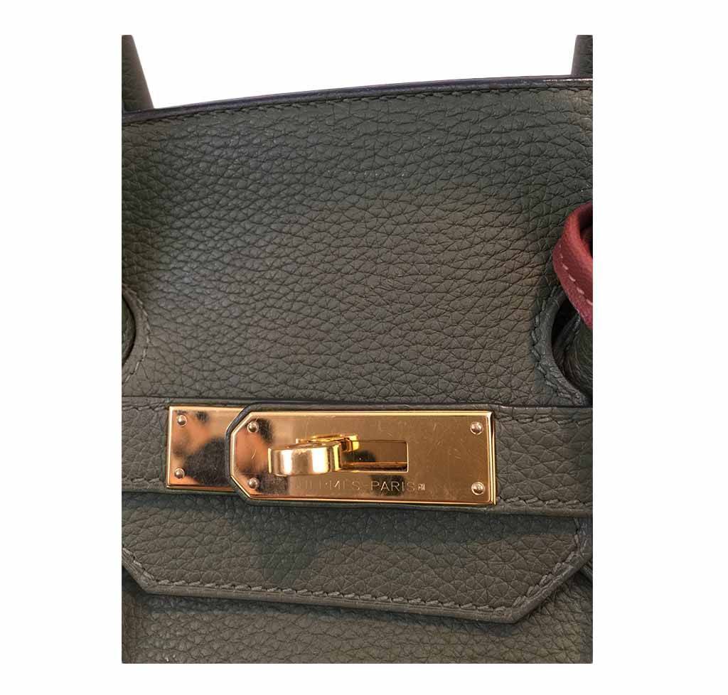 Hermes Birkin 35 Canopee Togo Leather Gold Hardware