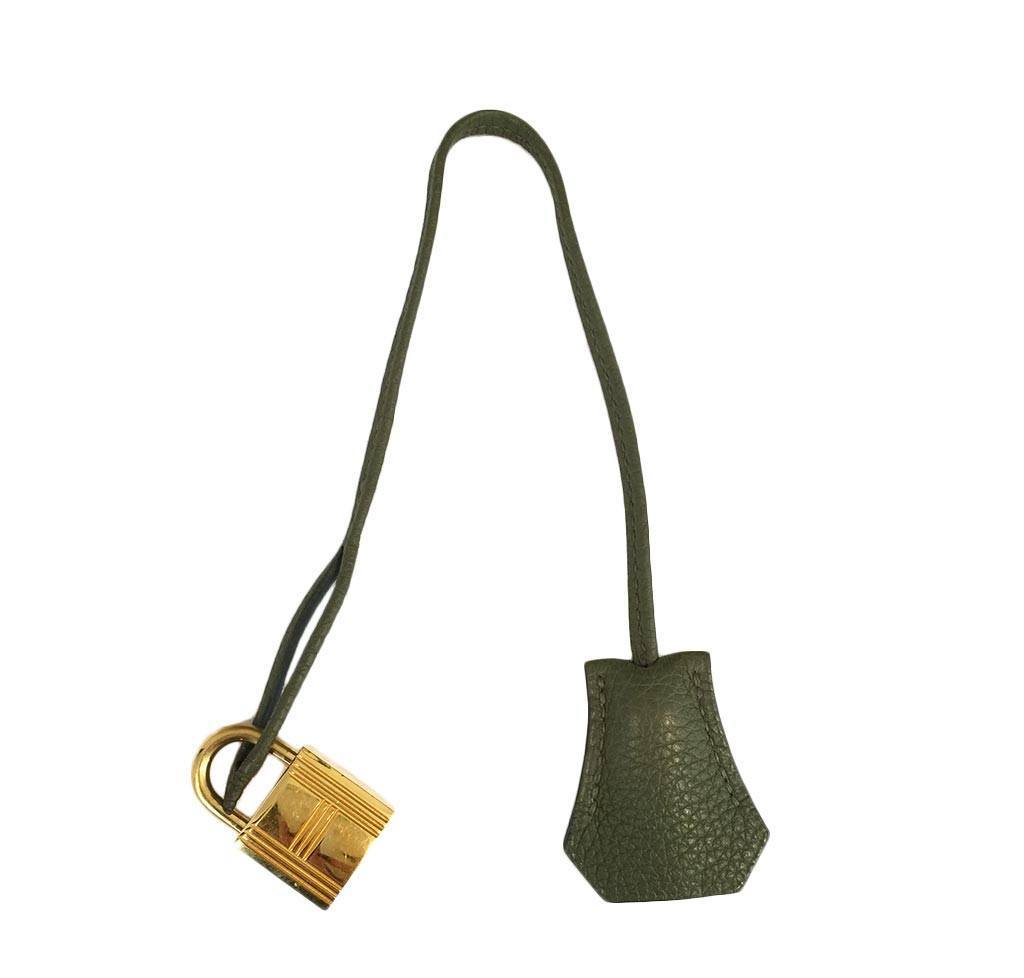 Hermes Birkin 35 Canopee Togo Leather Gold Hardware