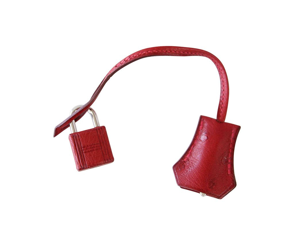 Hermes Kelly Sellier 25 Rouge Vif Ostrich Palladium Hardware
