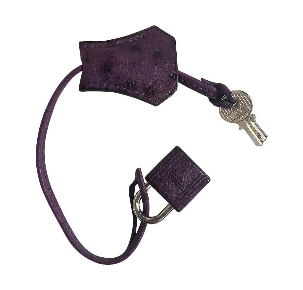 Hermes Birkin 30 Raisin Ostrich Leather Palladium Hardware